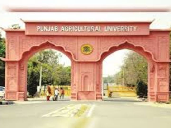 पीएयू टीचर्स एसो. चुनाव डेढ़ साल बाद 15 जनवरी को