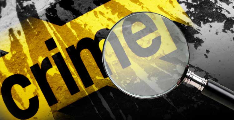 टैक्स चोरी का हाई प्रोफाइल मामला : 45 लाख की कीटनाशक दुबई भेजी