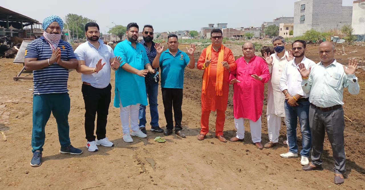 काओ सेस लेने वाली सरकार बेसहारा गोधन की करे संभाल