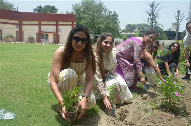 लक्ष्मी लेडीज क्लब ने किया पौधारोपण