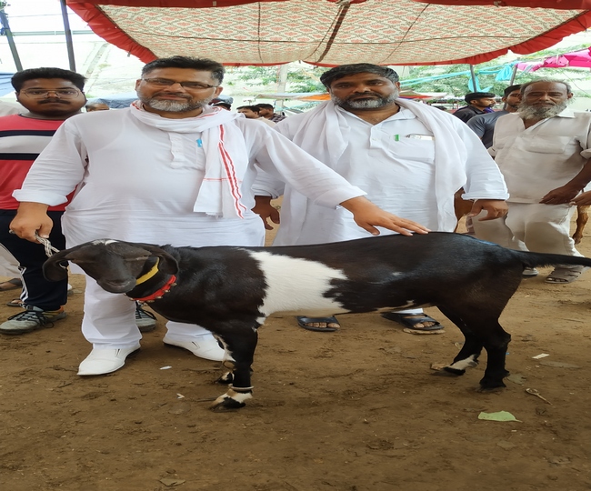 बकरईद पर कुर्बानी के लिये 1.05 लाख रुपये में बिका बकरा
