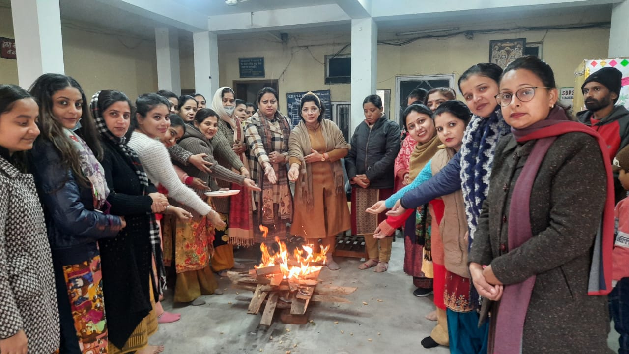 एस डी पी सीनियर सकेंडरी स्कूल में मनाया लोहड़ी पर्व : बलराज भसीन